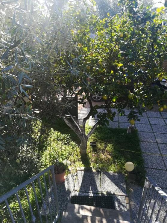 Casa Cocco Leilighet Sant Isidoro  Eksteriør bilde